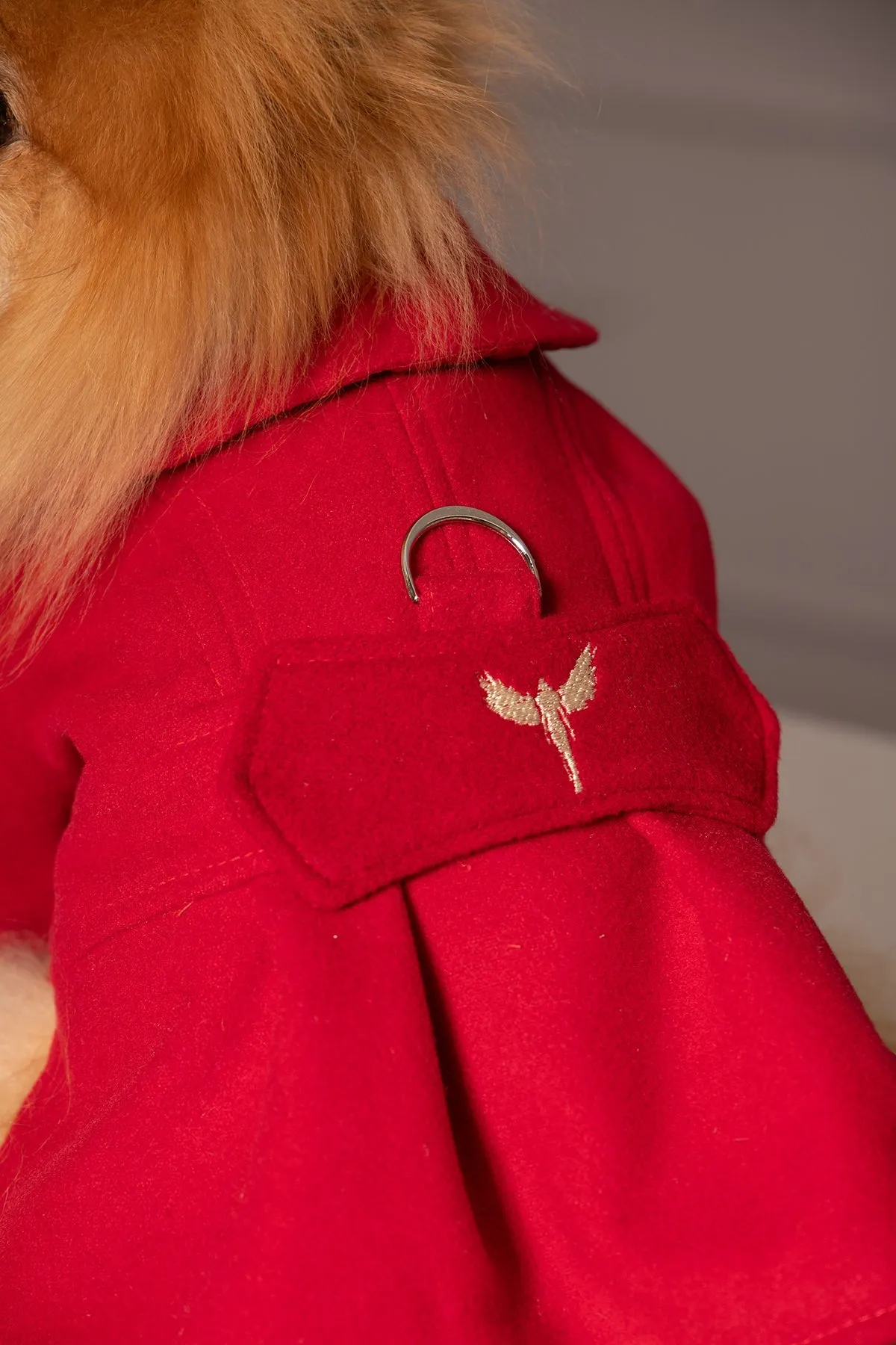 ELEGANT DOG JACKET