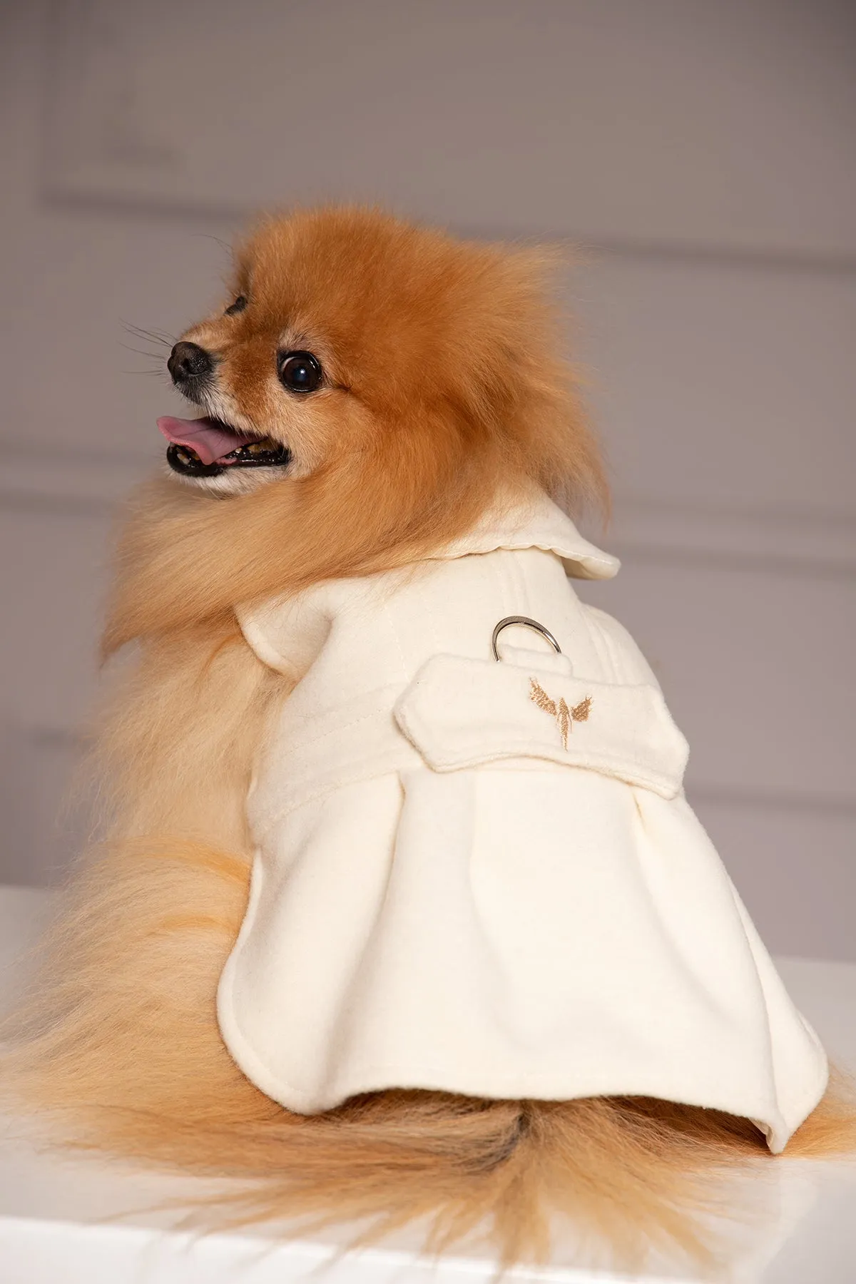 ELEGANT DOG JACKET