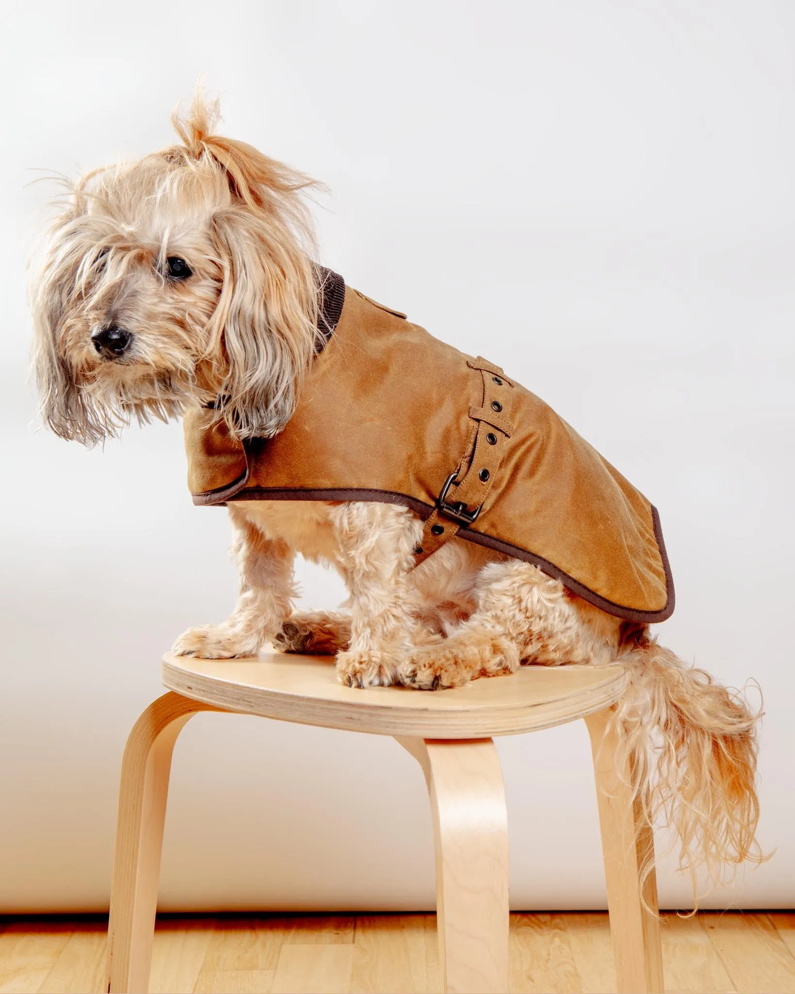 Wax Cotton All Weather Dog Jacket in Beige